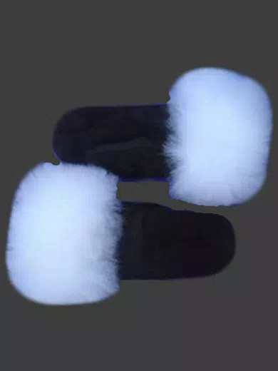  d06