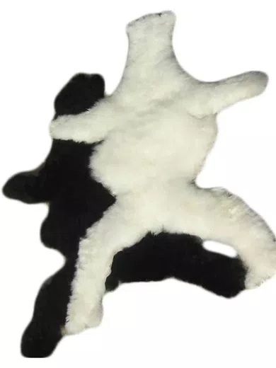 Raw Material Baby Alpaca Hides d05