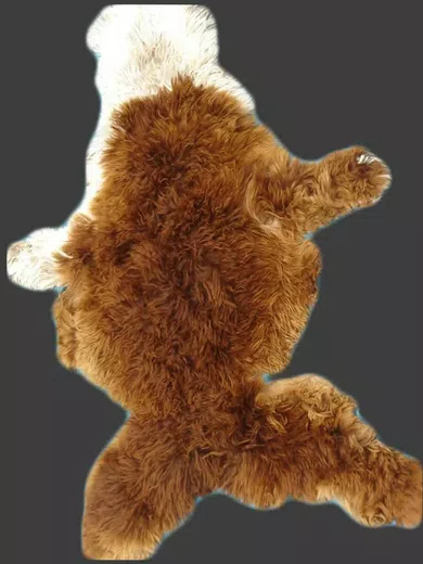 Pure Natural Alpaca Hides d07