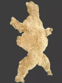 Baby Alpaca Hide